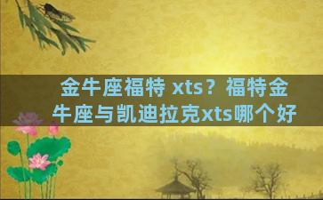 金牛座福特 xts？福特金牛座与凯迪拉克xts哪个好